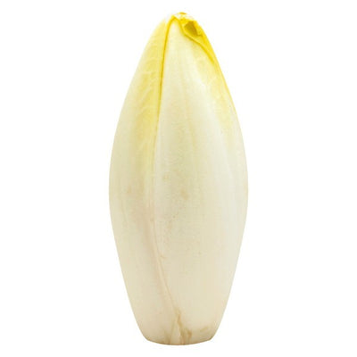 Endive, Belgian