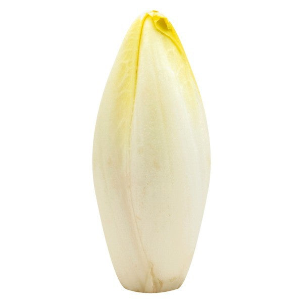 Endive, Belgian