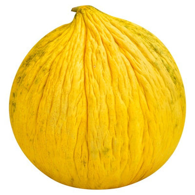Melon, Casaba