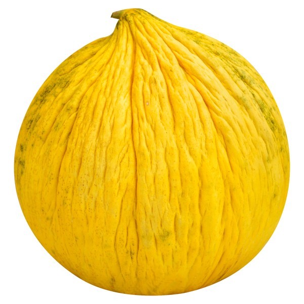 Melon, Casaba