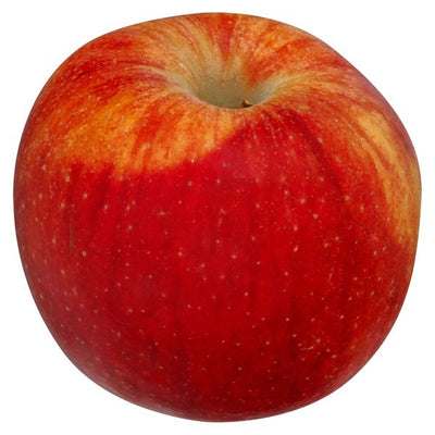 Apple, Scilate
