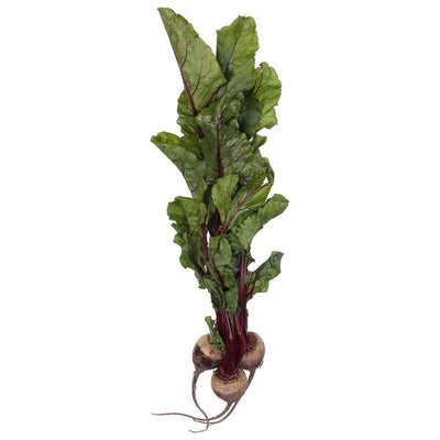 Beet, Organic