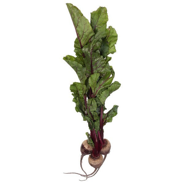 Beet, Organic