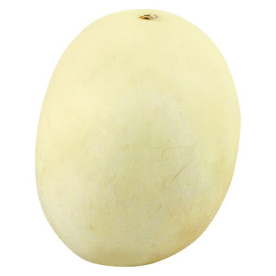 Melon, White Honeydew