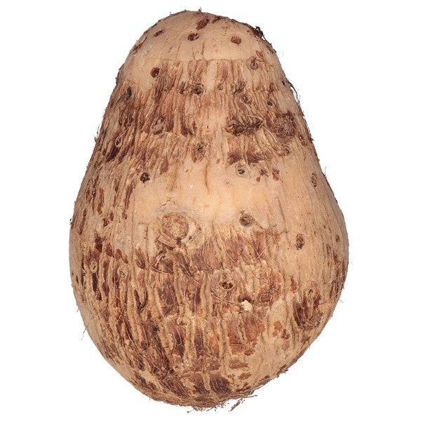 Taro, Organic