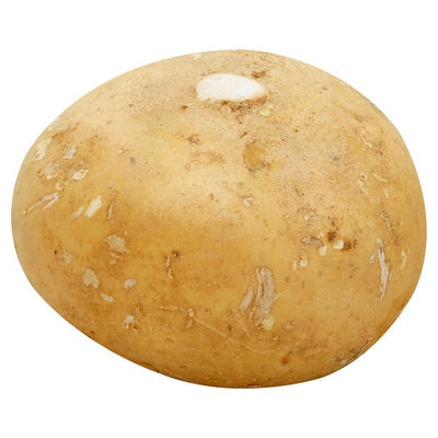 Jicama