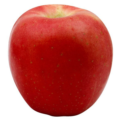 Apple, Sciros