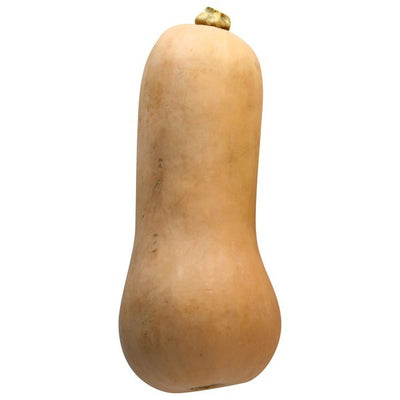 Squash, Butternut