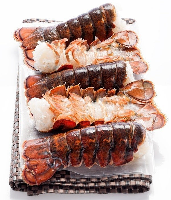 Lobster Live