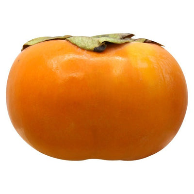 Persimmon, Fuyu