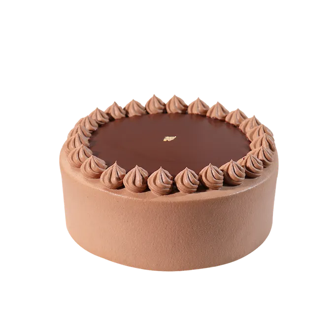 Chocolate Ganache Cake