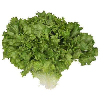 Lettuce, Organic, Green Leaf