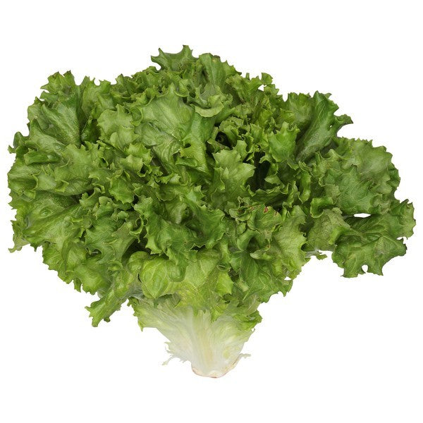 Lettuce, Organic, Green Leaf