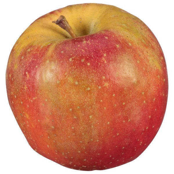 Apple, Maia 1, Evercrisp