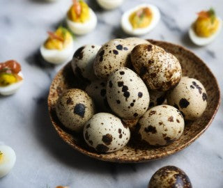 Quail Eggs