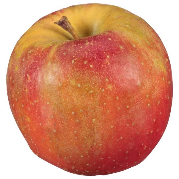 Apple, Organic, Evercrisp