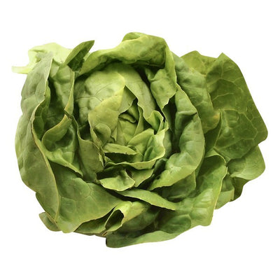 Lettuce, Butterhead