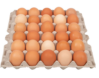 Jumbo Brown Eggs | Gwendolyn's Organic
