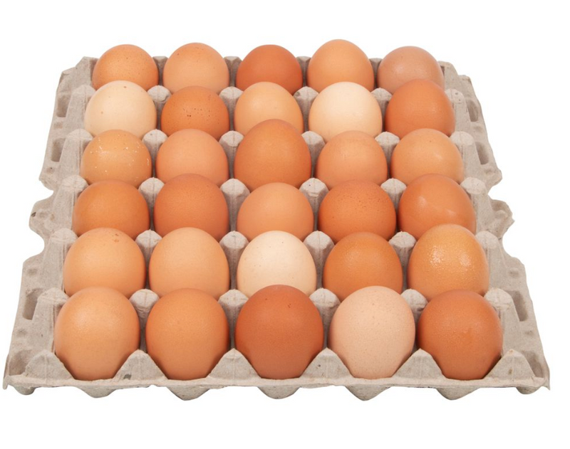 Jumbo Brown Eggs | Gwendolyn's Organic