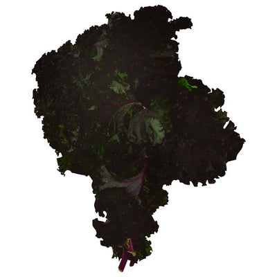 Kale, Red