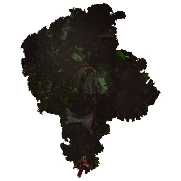 Kale, Red