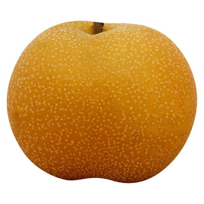 Pear, Asian/Nashi, Brown