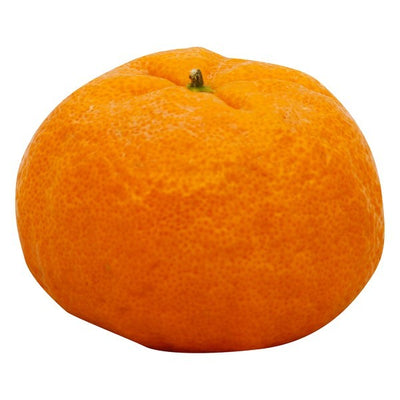 Tangerine