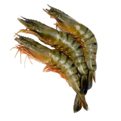SHRIMP 30-40 HOSO BLOCK