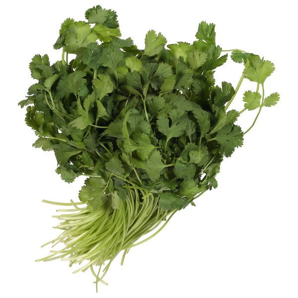 Cilantro, Organic