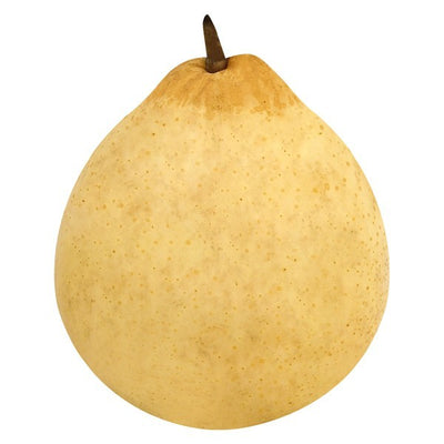 Pear, Chinese Yali
