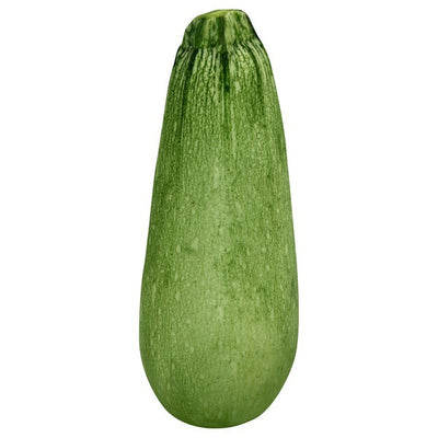 Squash, Zucchini, White