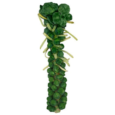 Brussels Sprouts, Stalk
