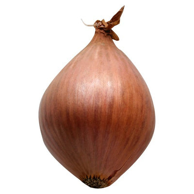 Onion, Shallots