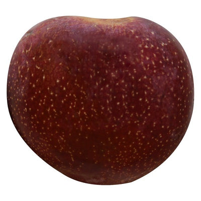 Plum, Red