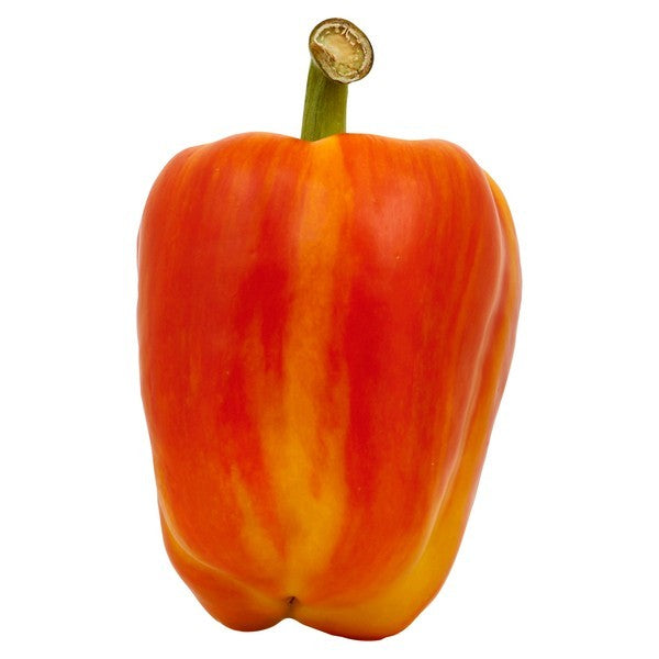 Pepper, Stripy Bell