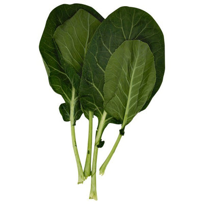 Lettuce, Bibb Flat Round