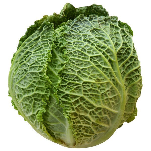 Cabbage, Savoy, Green