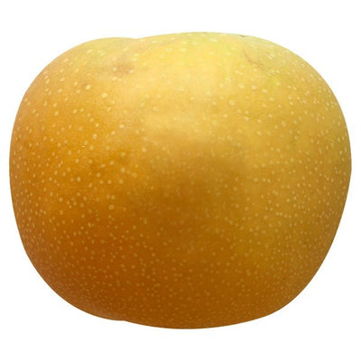 Pear, Asian/Nashi, Yellow
