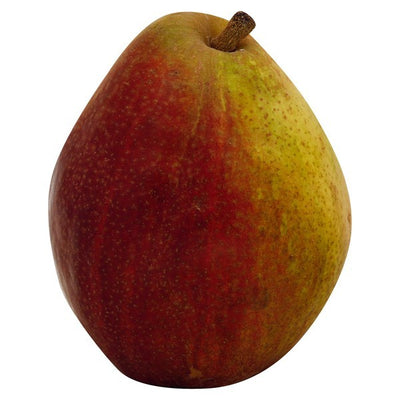 Pear, Anjou, Red
