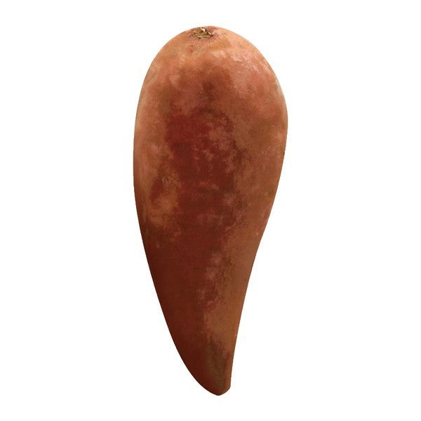 Sweet Potato, Golden
