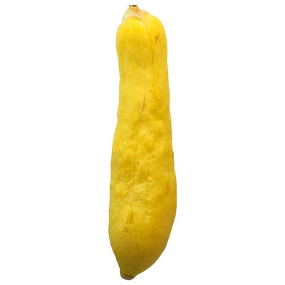 Squash, Straightneck, Yellow