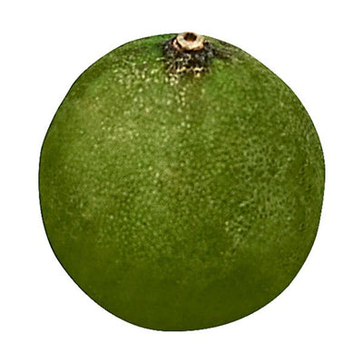 Lime, Key