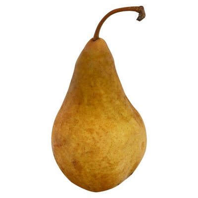 Pear, Bosc