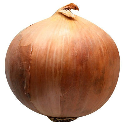 Onion, Yellow