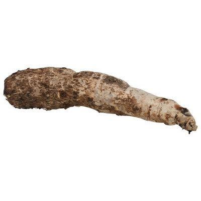 Malanga, Organic, White