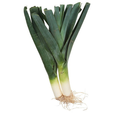 Leek, Organic