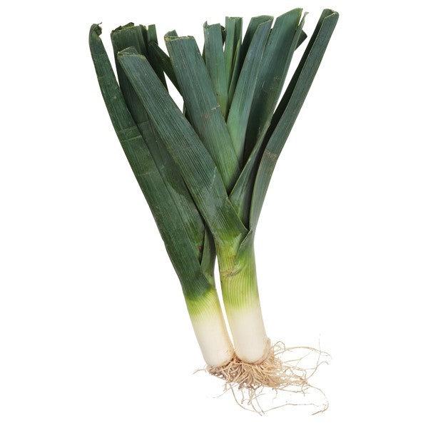 Leek, Organic