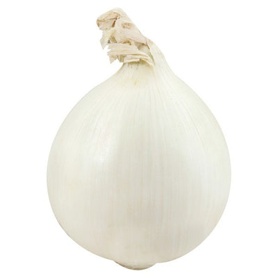 Onion, White
