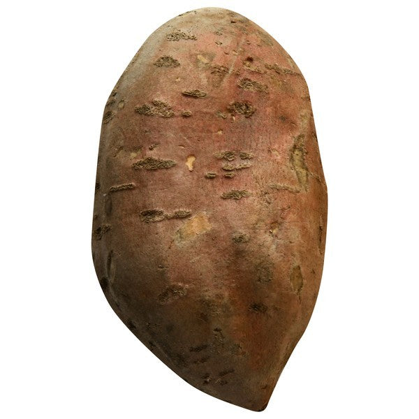 Sweet Potato, White