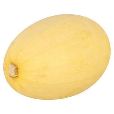 Squash, Spaghetti